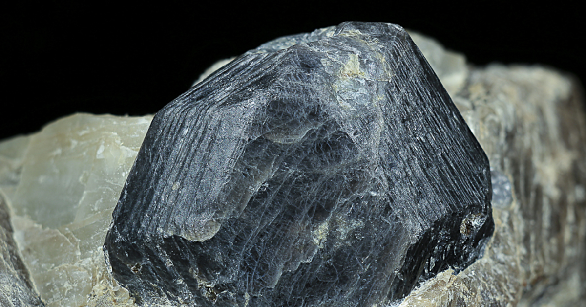 Everything to know about Sapphirine