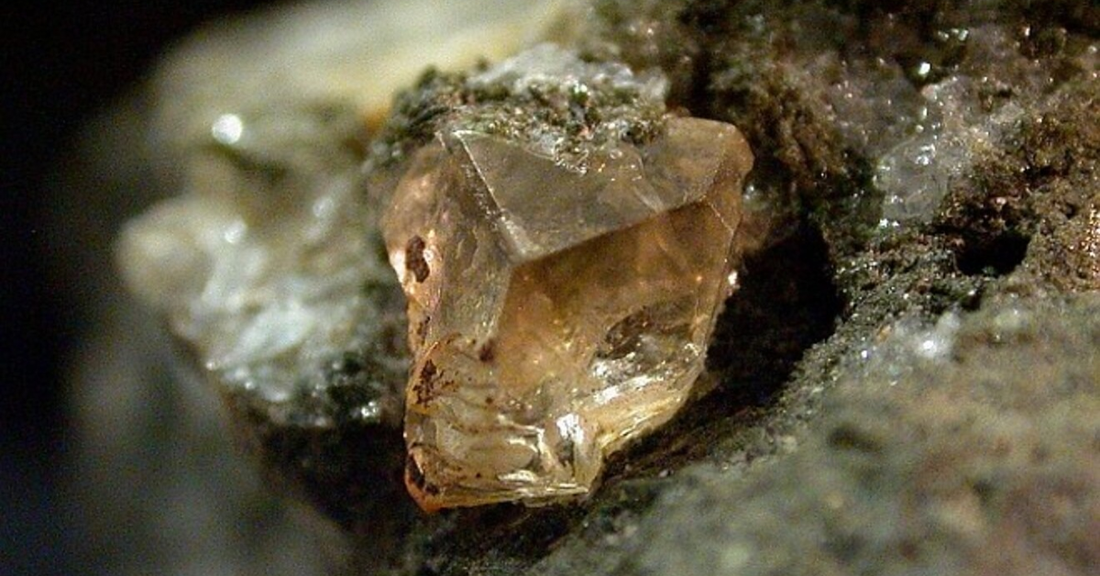 Everything to know about Sarcolite