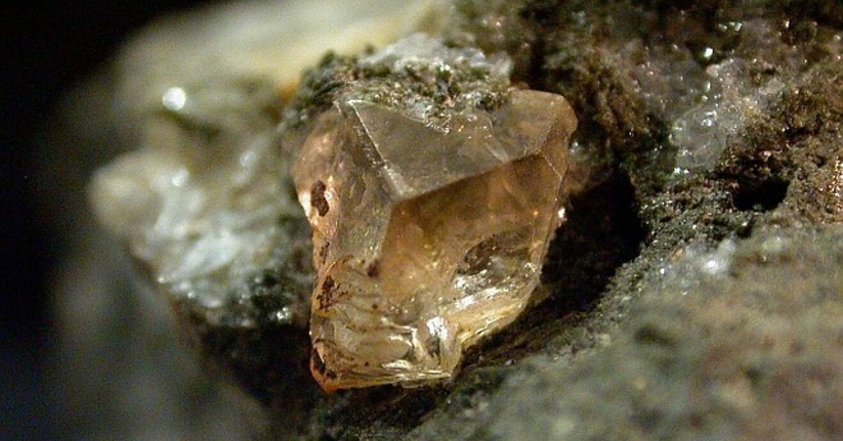 Everything to know about Sarcolite