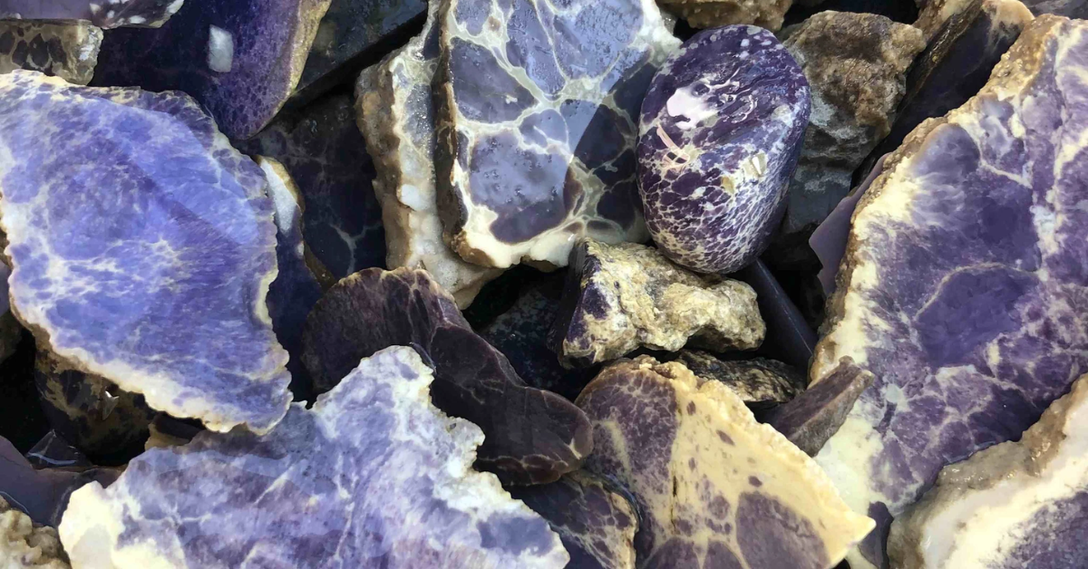 Everything to know about Spurrite