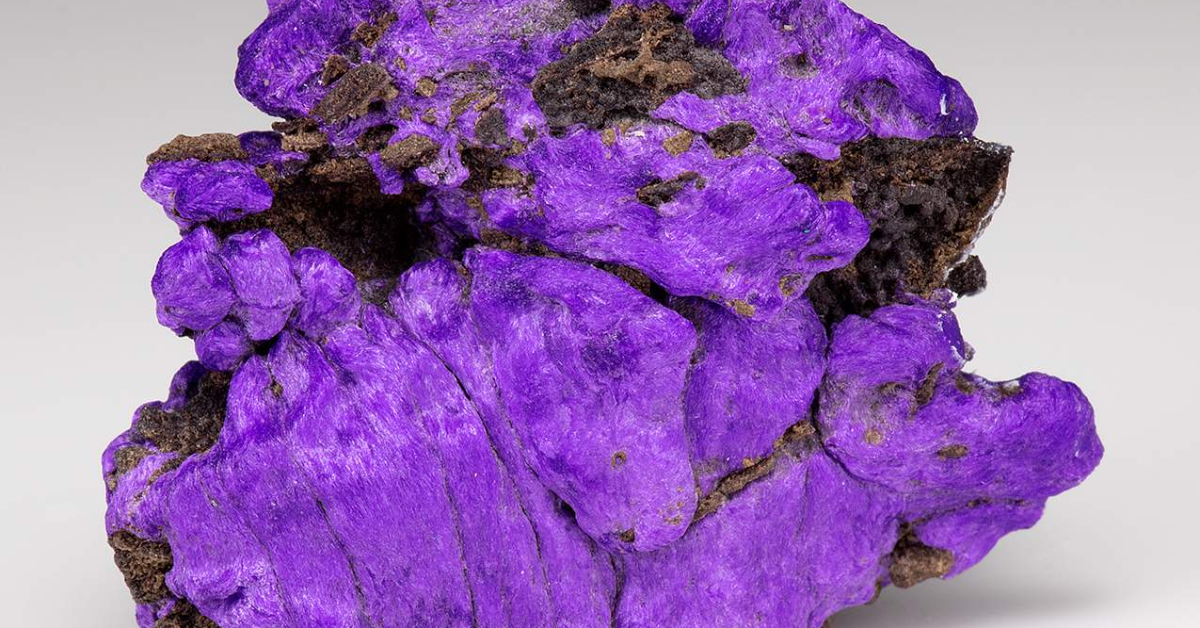 Everything to know about Sugilite