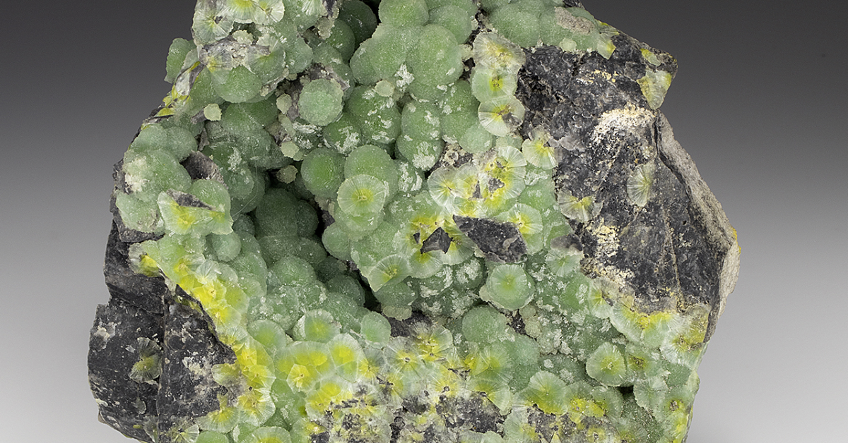 Everything to know about Wavellite